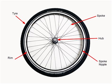 inside of a bicycle wheel